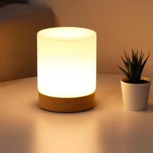 Homeko - Mini Glass Cylinder Table Lamp with 360° Touch