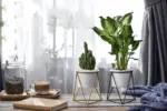Meina flower pot mademoiselle home decor and furniture store