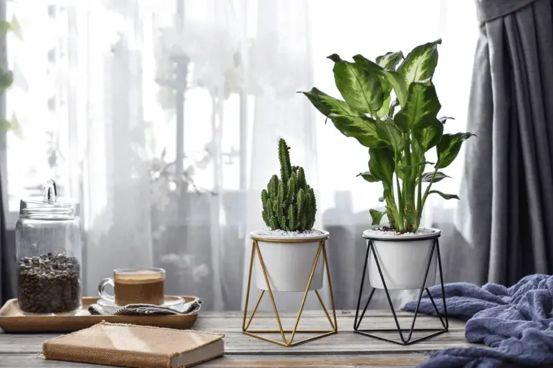 Meina flower pot mademoiselle home decor and furniture store