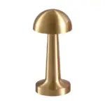 Metallic coloured led table lamp