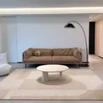 Minimal living room soft plush carpet
