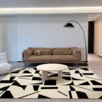 Minimal living room soft plush carpet