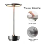 Minimalist metallic led cordless table lamp