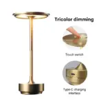 Minimalist metallic led cordless table lamp