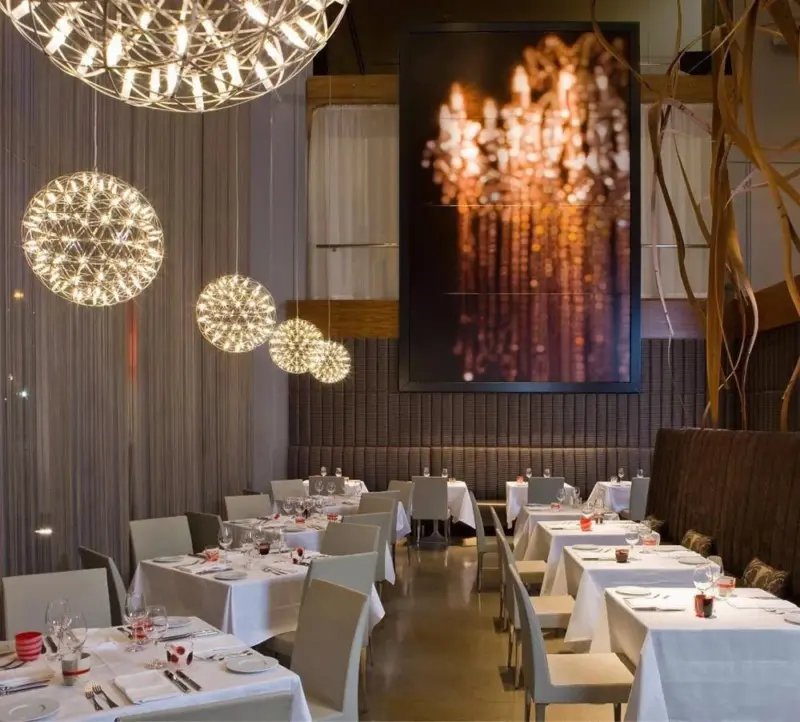 Modern firework led stainless steel pendant lights