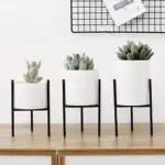 moochi-plant-stand-mademoiselle-home-decor-and-furniture-store-2_d3bb08d1-0101-4de6-aa59-f9fc2002ba1d Moochi plant stand mademoiselle home decor and furniture store 2 d3bb08d1 0101 4de6 aa59 f9fc2002ba1d