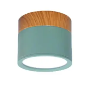 Multi-Color LED Modern Ceiling Lights