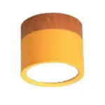 Multi color led modern ceiling lights