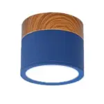 Multi color led modern ceiling lights