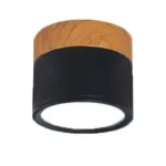 Multi color led modern ceiling lights