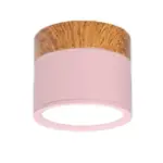 Multi color led modern ceiling lights