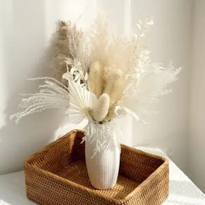 Xeleste Plant