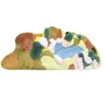 New zealand wool radiant rug patchandbagel