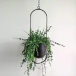 Niko hanging pot mademoiselle home decor and furniture store