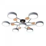 Nordic branched disc led ceiling lamp hl215
