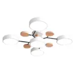 Nordic branched disc led ceiling lamp hl215