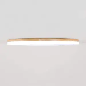 Homeko - LED Ceiling Lamp