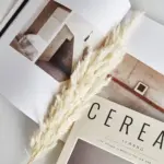 Pampas grass decor white color fluffy na main