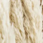 Pampas grass decor white color fluffy na main