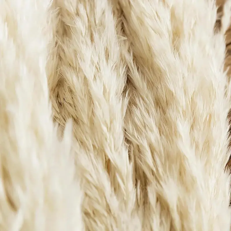 Pampas grass decor white color fluffy na main