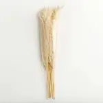 Pampas grass decor white color fluffy na main 5 82f02ac6 af9b 4fdb a1b9 f7173aa54a6a
