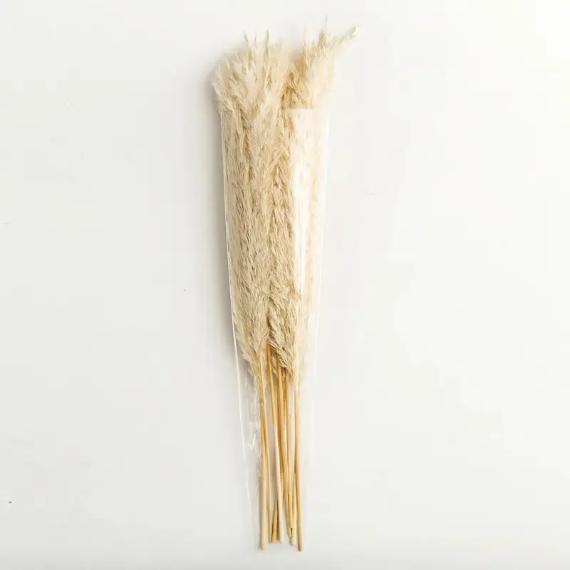 Pampas grass decor white color fluffy na main 5 82f02ac6 af9b 4fdb a1b9 f7173aa54a6a