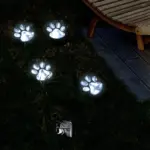 Pawled2
