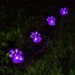 Pawled3