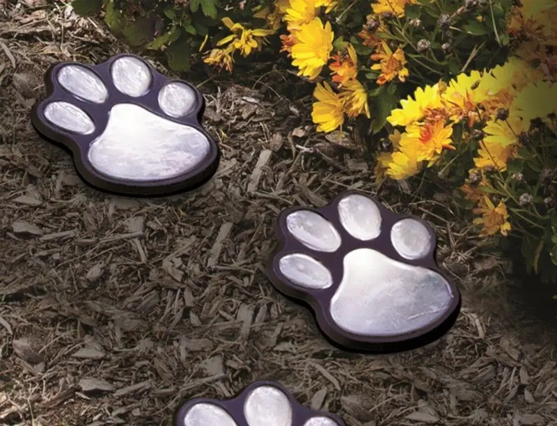 Pawled4