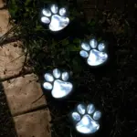 Pawled5