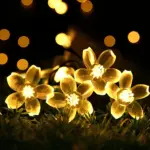 peachparadise-led-lichterkette-fuer-aussen-garten-terrasse-wetterfest-xlumina Peachparadise led lichterkette fuer aussen garten terrasse wetterfest xlumina