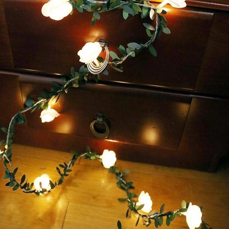 Product Image 1408000692