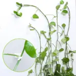 product-image-1484727671 Product image
