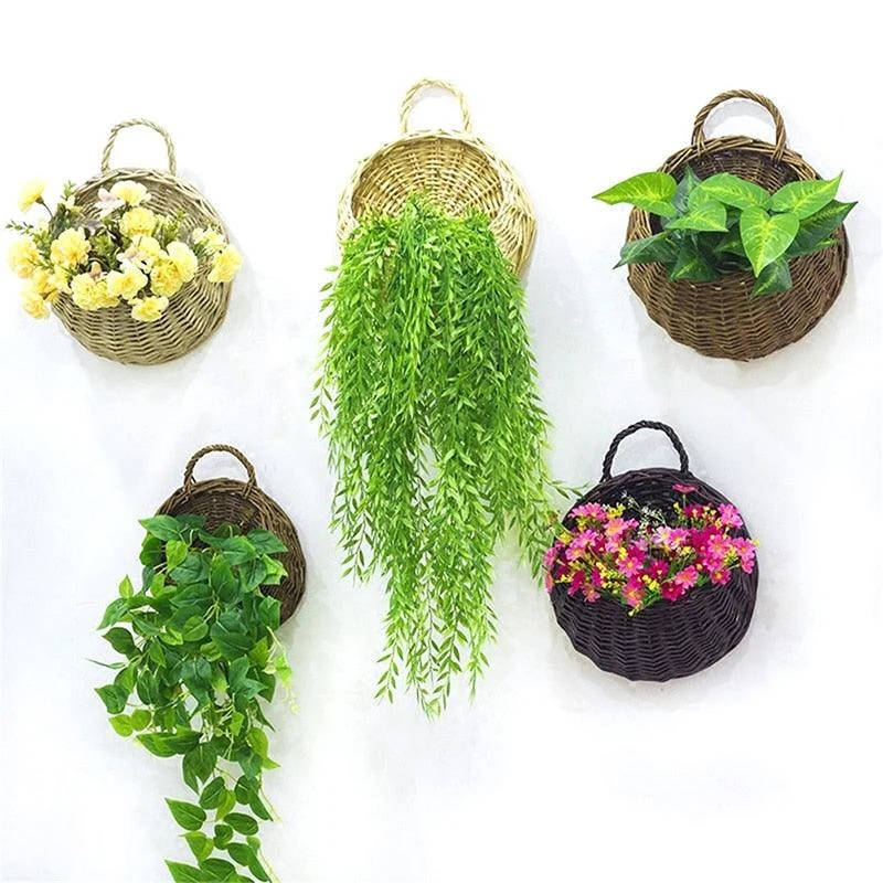 Product Image 1683915157