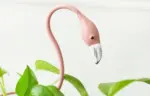 product-image-1808950644 Product image