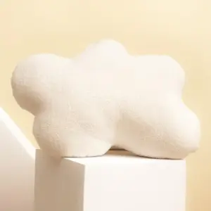 Soft Plush Cushion