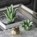 Product image 1999033503