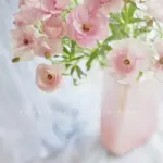 Rainbowvasesdecor05 0f408146 bfcc 4b4e 8ab0 69351d152965