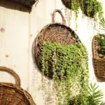 Rattan hanging wall planter
