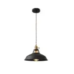 Retro industrial style colorful restaurant pendant lights