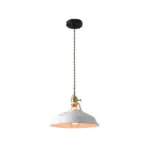Retro industrial style colorful restaurant pendant lights