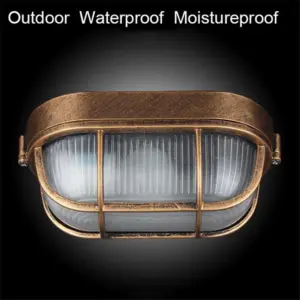 Retro Waterproof Proof Outdoor Ceiling Light