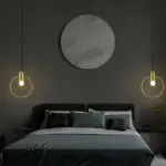 Ring hanging lights 2030cm