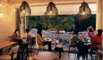 Sea shell snail bamboo 98 to 13 wide led pendant lamp shade