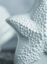 Seashell and starfish soap bottle patchandbagel