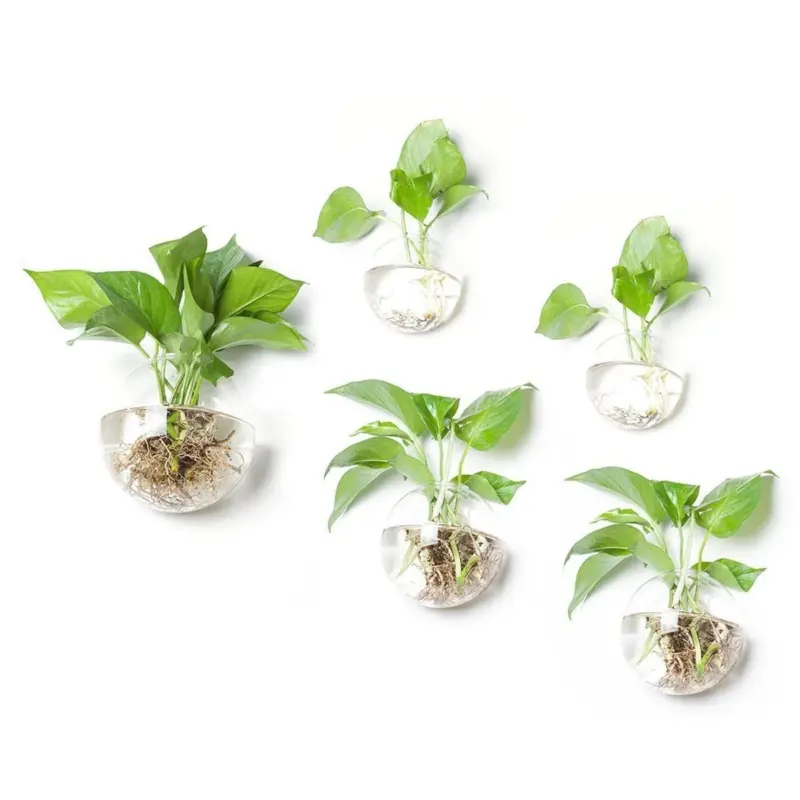 Set of 5 blown glass planter wall bubble