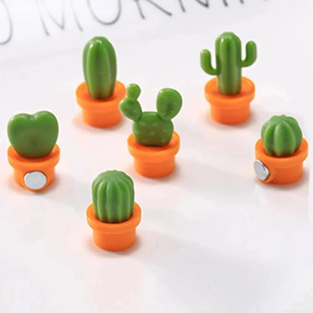 Six Piece Set Of Succulent Fridge Magnets 194139