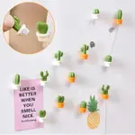 Six piece set of succulent fridge magnets