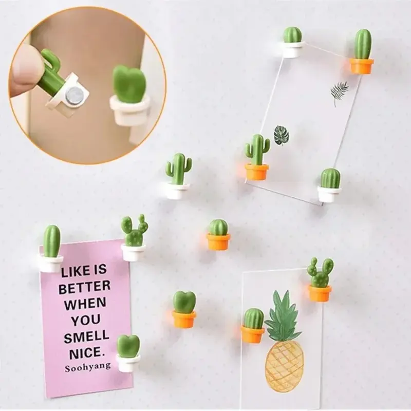 Six piece set of succulent fridge magnets
