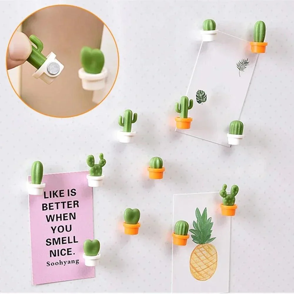 Six Piece Set Of Succulent Fridge Magnets 431640